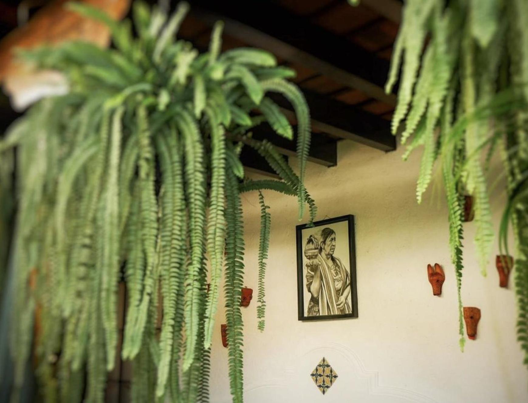 Hotel Cacao Boutique Antigua