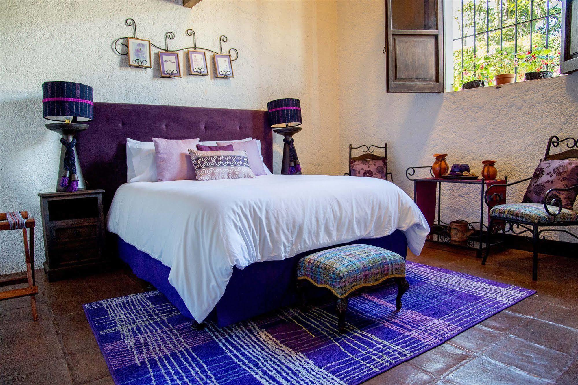 Hotel Cacao Boutique