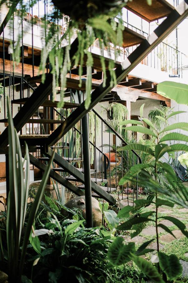 Cacao Boutique Bed & Breakfast 3*