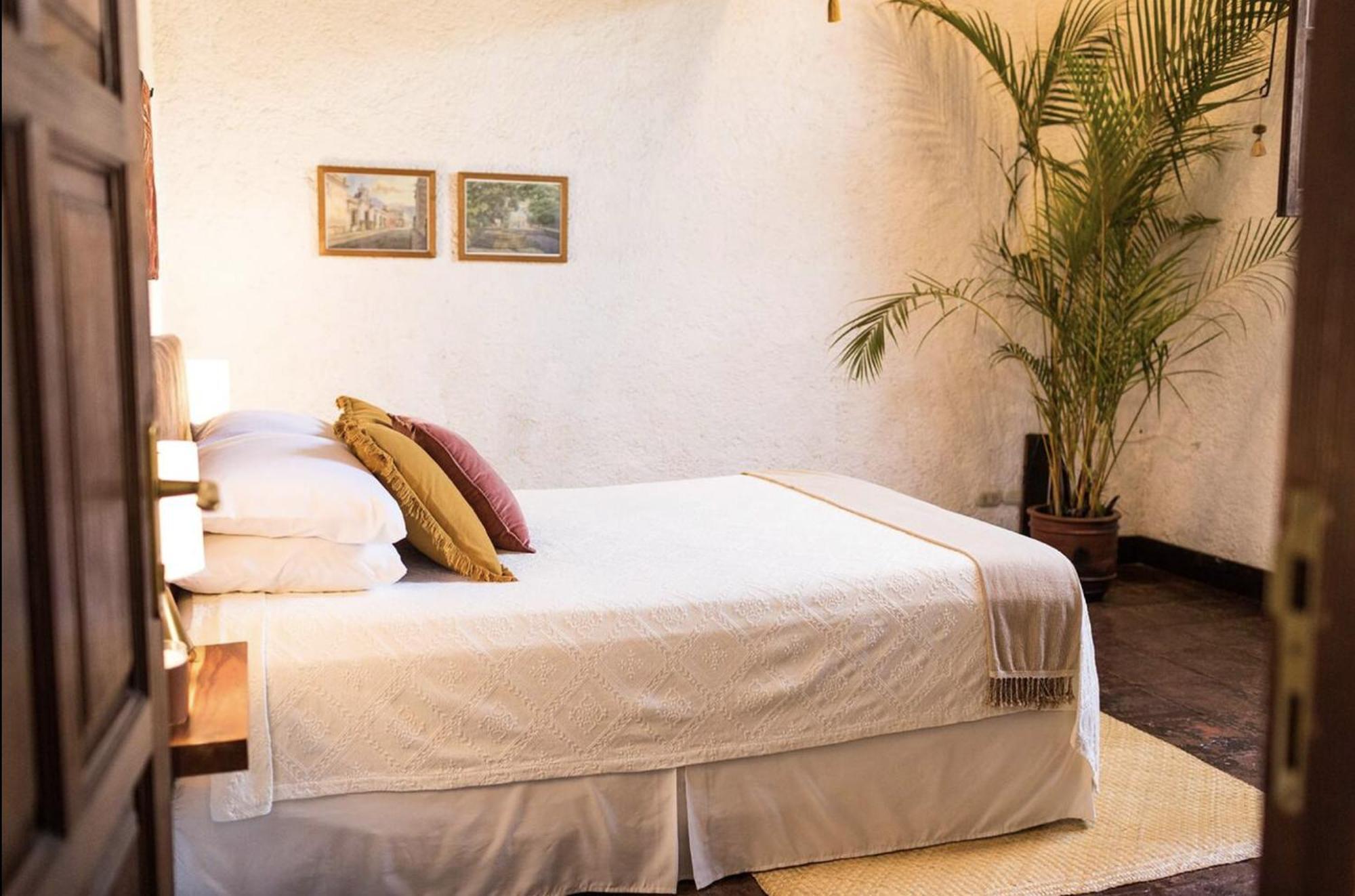 Cacao Boutique Bed and breakfast